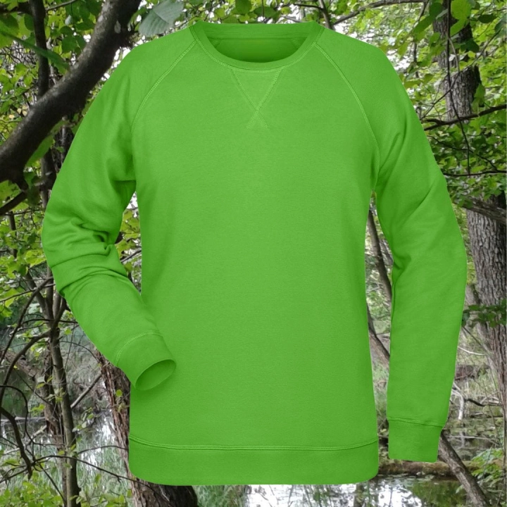Bluza Nel lime green1.1.jpg
