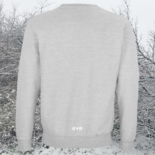 bluza-sol-unisex-bawełna-organiczna-premium-XS-5XL-bez-kaptura-jasnoszara-odcień-chłodny-grey-melange.png