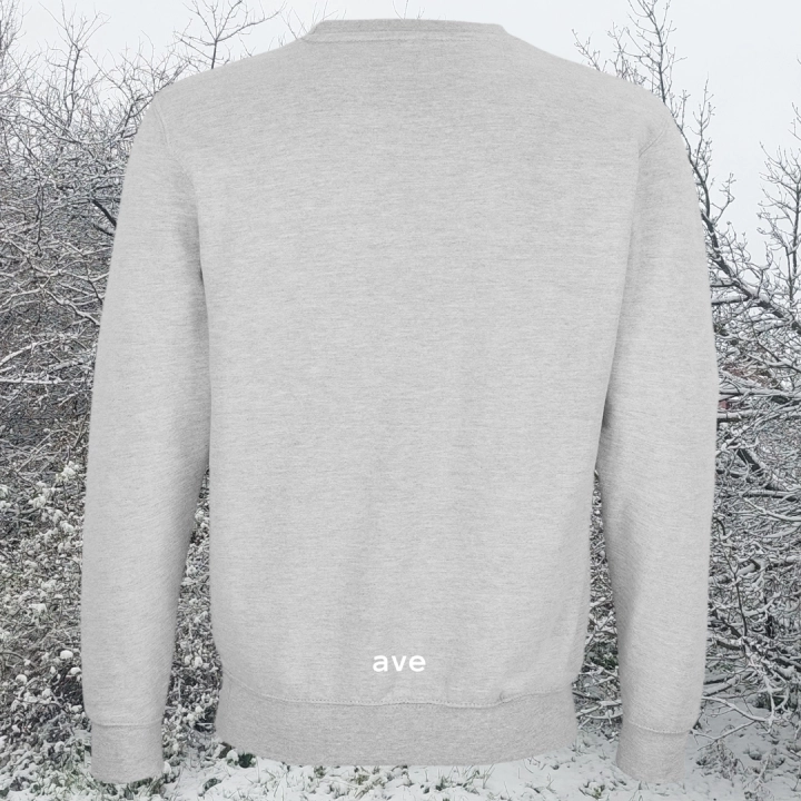bluza-sol-unisex-bawełna-organiczna-premium-XS-5XL-bez-kaptura-jasnoszara-odcień-chłodny-grey-melange.png