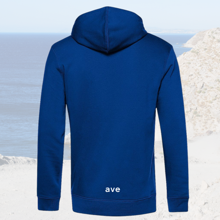 Bluza Pitt royal.LOGO.PRZEZROCZYSTE.png