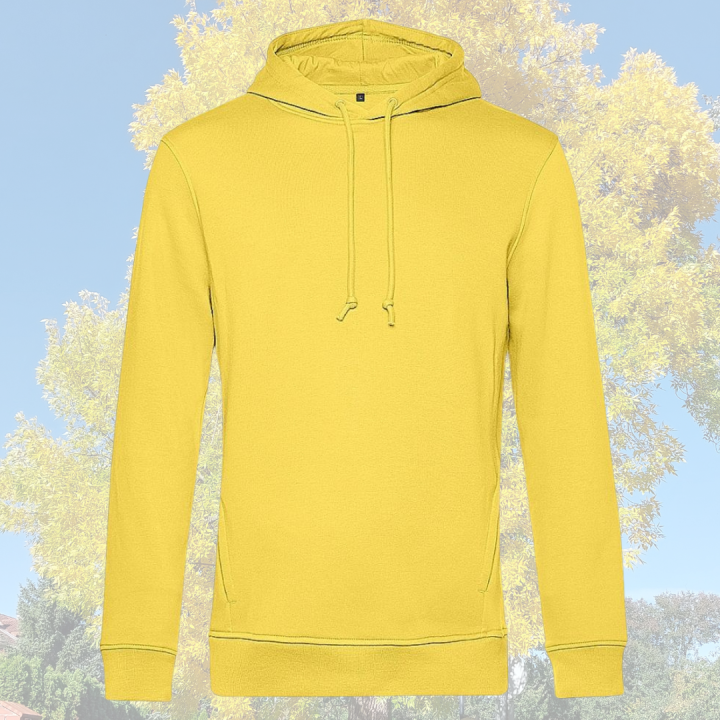 Bluza Pitt yellow fizz.FRONT.PRZEZROCZYSTY.png