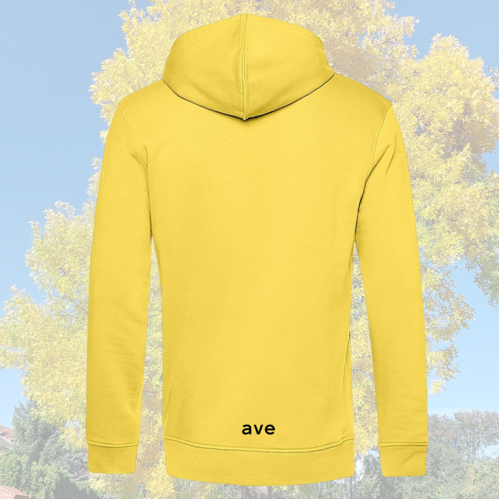 Bluza Pitt yellow fizz.LOGO.PRZEZROCZYSTE.png