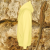 Bluza Angel light yellow.SIDE.png