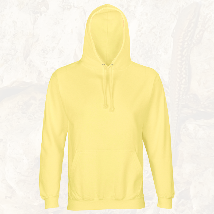 Bluza Angel light yellow.FROTN.PRZEZROCZYSTY.png
