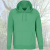 Bluza Noa spring green.FRONT.PRZEZROCZYSTY.png