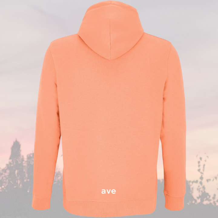 Bluza Noa peach.LOGO.PRZEZROCZYSTY.png