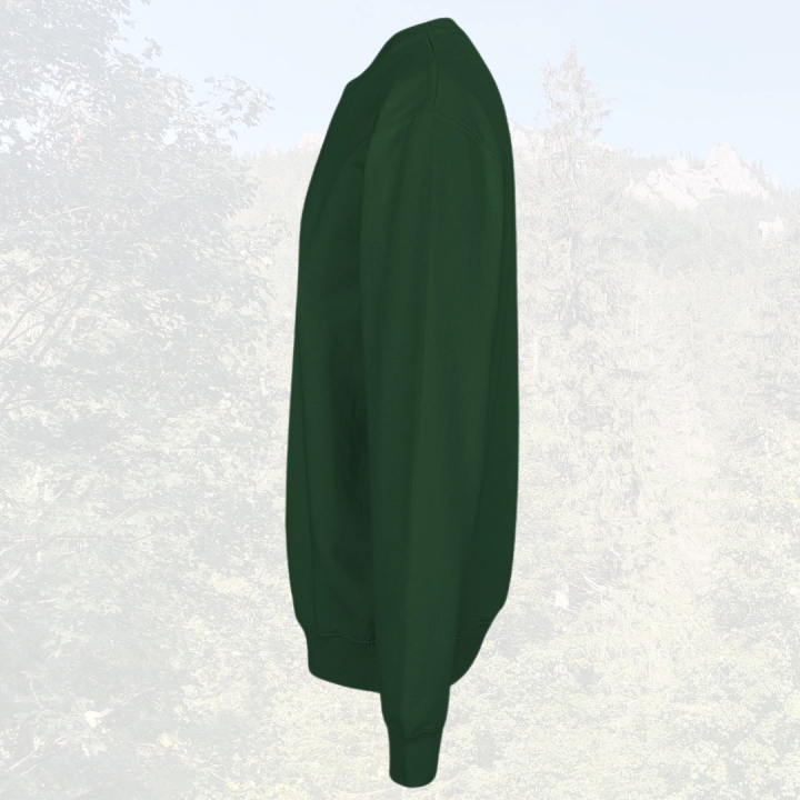 6.png