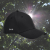 Czapka – z – daszkiem – Nope – strech – cap – organic – bawełna – organiczna – premium – czarny - black – S/M – L/XL – czapka - przód - bok